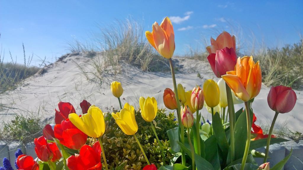 Ostsee Micro Ferienappartements Dierhagen-Strand - Haus 1 Buitenkant foto